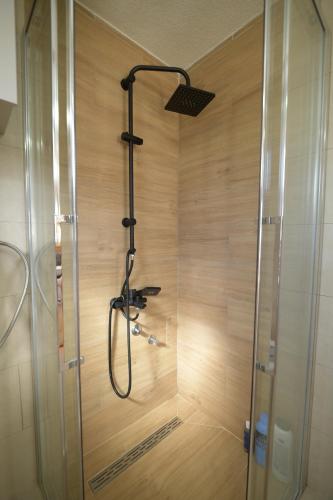 a shower with a glass door in a bathroom at Planinski vuk chalet in Žabljak
