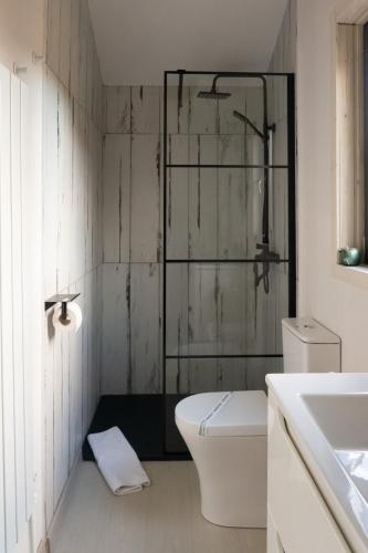 a bathroom with a toilet and a shower at Acasa Straja - Green Cottage in Lupeni