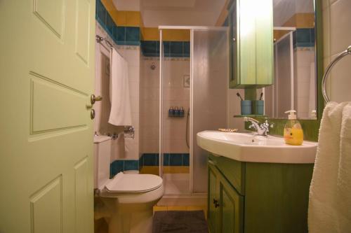 a bathroom with a toilet and a sink and a shower at Evaggelia's Seaside Boutique Apartment in Ireon