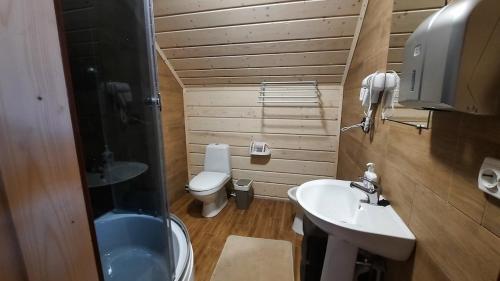 a small bathroom with a toilet and a sink at Наш котедж in Krivopolʼye