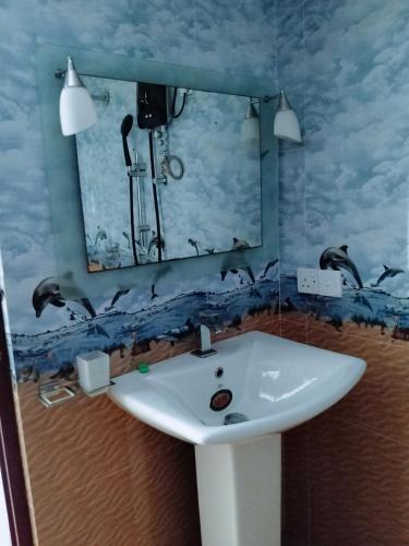 a bathroom with a sink and a mirror at New Villa Senor Beruwala in Beruwala