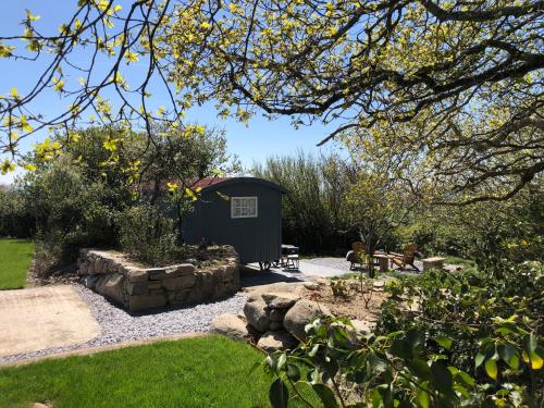 a shed in the middle of a garden at Bluebell Shepherd's Hut in Llanfair