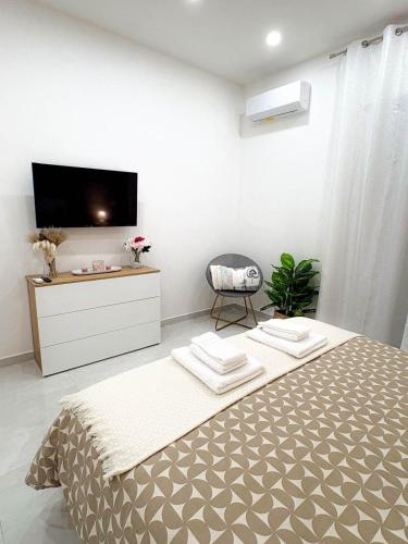 a bedroom with a bed and a tv and a chair at Nicola's Apartments in Santa Maria La Carità