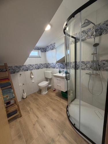a bathroom with a shower and a toilet at apartma Jelka in Novigrad Istria