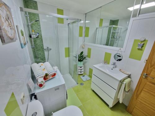 a bathroom with a shower and a sink and a toilet at Adro Redondela in Redondela