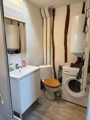 a bathroom with a toilet and a sink and a washing machine at historique in Clamecy