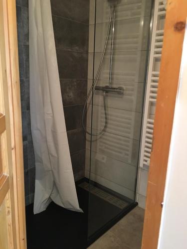 a shower with a glass door in a bathroom at Charming mountain studio in Mont-Saxonnex