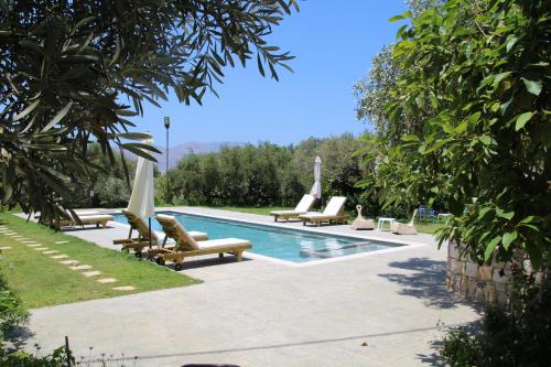 Olive View