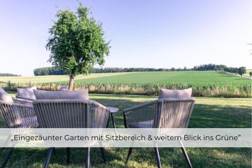 two chairs and a tree in a field at Landhaus Paco Ferienhaus für 12 Personen mit Alpakas, Sauna & Kamin in Blaufelden