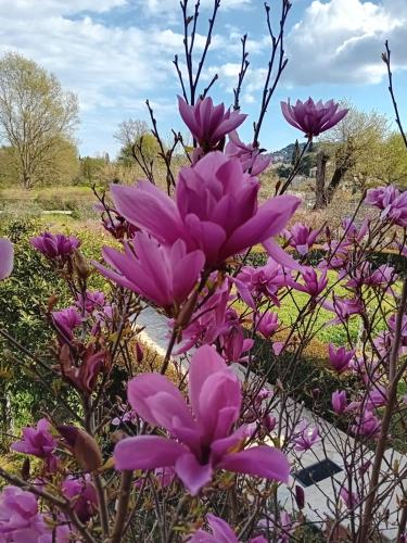 Villa Alexandra Verde Near Corfu Town