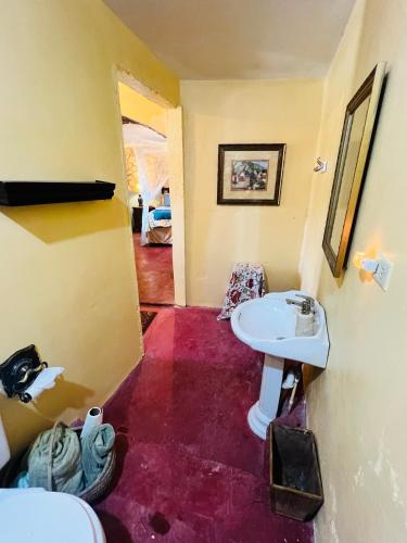 a bathroom with a sink and a toilet at The Crown Private Queen in Mount Terza