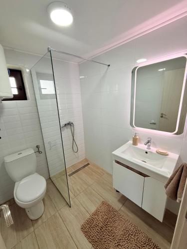 a bathroom with a toilet and a sink and a shower at Vikendoria Pool House & Events in Bački Jarak