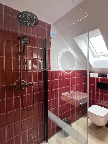a red tiled bathroom with a shower and a toilet at Apartmán vinařství U Krčků in Zaječí
