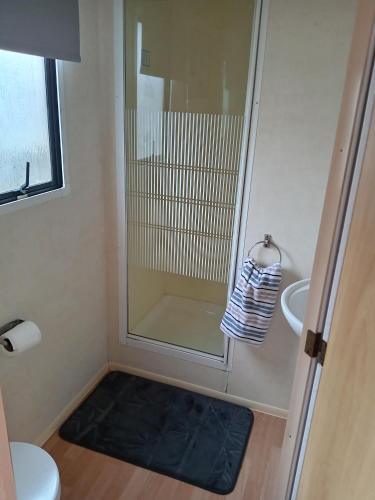a small bathroom with a shower and a toilet at Bee Happy Caravan in Abergele