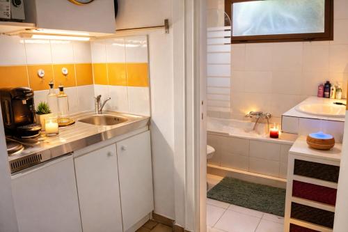 Studio cosy avec terrasse et jardin VAUBAN