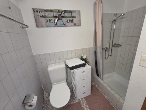 a bathroom with a white toilet and a shower at Ferienwohnung mit Ausblick in Summaprada
