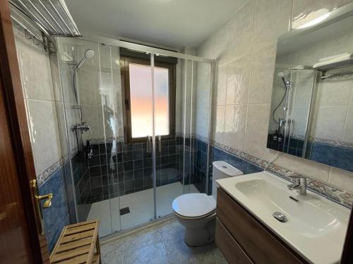 a bathroom with a shower and a toilet and a sink at Mil Mariposas, Escapada rural Burgos in Barriosuso