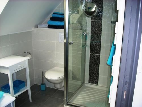 a bathroom with a shower and a toilet at La Renaissance Saint-Gervais-la-Forêt in Saint-Gervais-la-Forêt