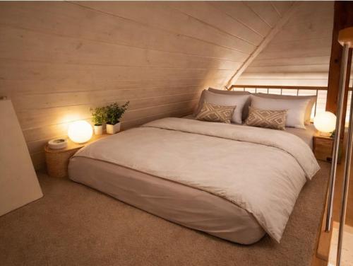Charming attic duplex in Bern