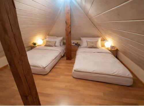 Charming attic duplex in Bern