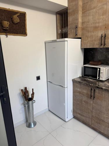 Una cocina con un refrigerador blanco y un microondas. en Mony Hotel, en Goris