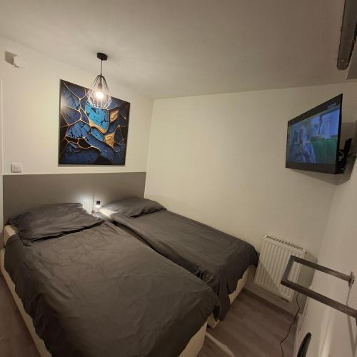 a bedroom with a bed and a flat screen tv at FORT BLIZNE NOCLEGI - superior, standard & basic rooms in Blizne Łaszczyńskiego