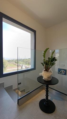 a room with a table with a potted plant on it at Villa GEIA in Klísmata