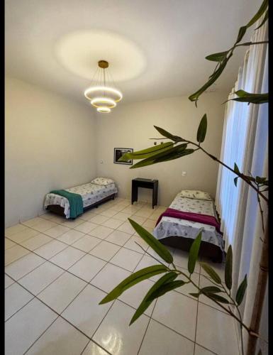 a room with two beds and a plant in it at KS lazer e eventos in Ribeirão Preto