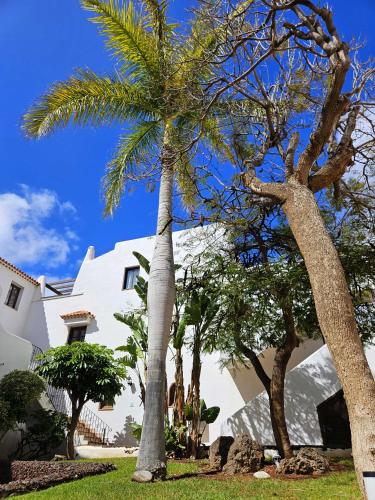 Sunny Oasis Amarilla Golf