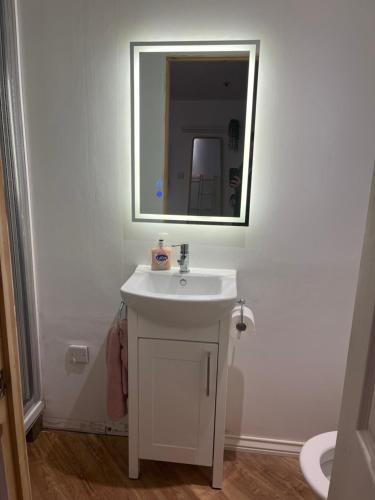 a bathroom with a white sink and a mirror at The Summerhouse in Cheadle