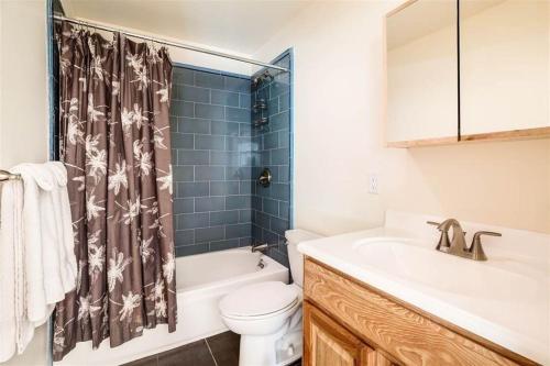 a bathroom with a sink and a toilet and a shower at Carnelian Bay Lake House in Carnelian Bay