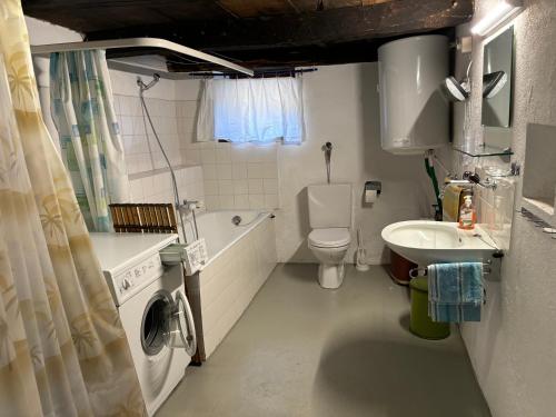 a small bathroom with a washing machine and a sink at Rustico Bellavista in Mergoscia