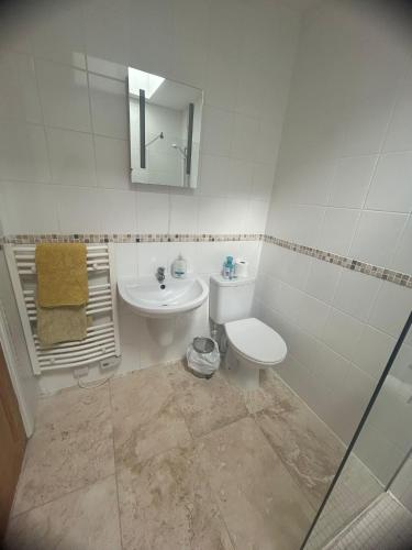 a white bathroom with a toilet and a sink at Acorn Apartment in Dufftown