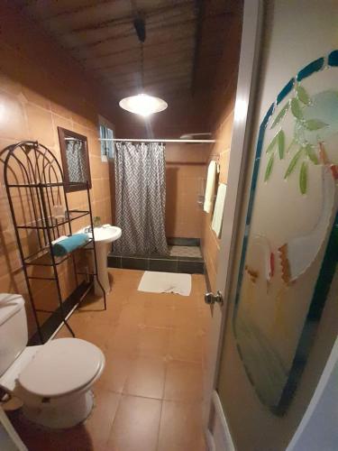 a bathroom with a toilet and a sink at El Nido Cerro Azul in Cerro Azul