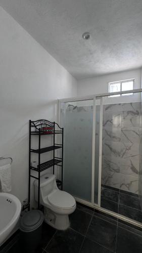 a bathroom with a shower and a toilet and a sink at Home in Tequesquitengo in Tequesquitengo