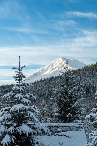 a snow covered mountain with trees in the foreground at Glacier Creek Cabins in Seward