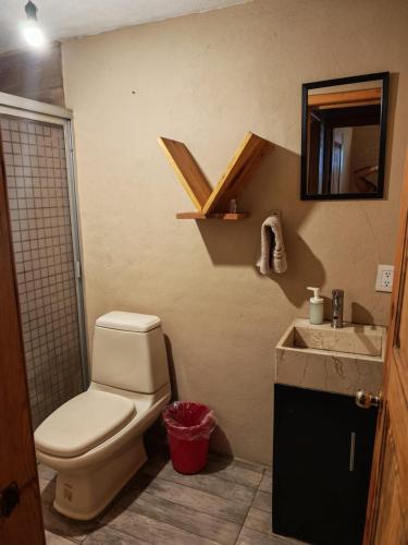 a bathroom with a toilet and a sink and a mirror at Cabañas Quinta de Cuevas in Mazamitla