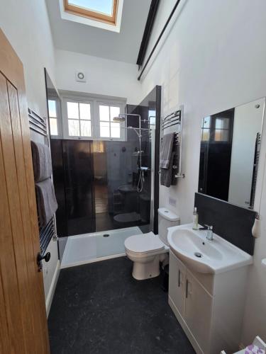 a bathroom with a toilet and a shower and a sink at Wagtail Cottage in Kilmartin