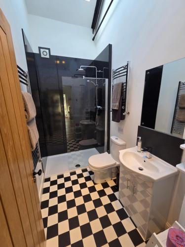 a bathroom with a toilet and a sink and a shower at Siskin Cottage in Lochgilphead