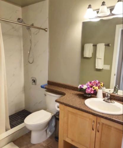 a bathroom with a toilet and a sink and a mirror at Two Bedroom Suite with Private Bathroom and Shared Lounge in West Kelowna