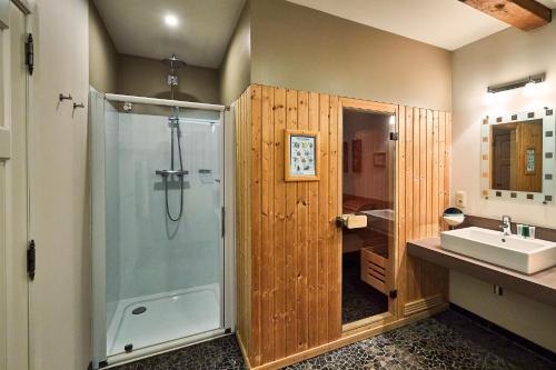 een badkamer met een douche en een wastafel bij Wellness B&B De Zevenslaper in Geetbets