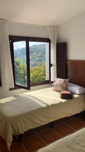 a bedroom with a large bed with a large window at Hostel Los Guajares in Guájar-Faragüit