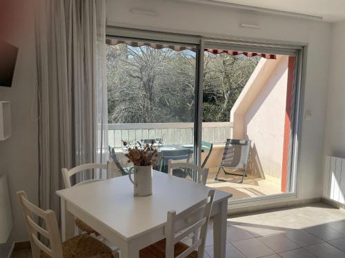 Studio avec terrasse plein sud & parking privé