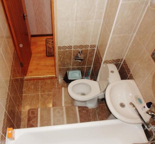 a bathroom with a toilet and a sink at Ахметова 10 in Krasnoye Pole