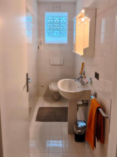 ein Badezimmer mit Waschbecken, Toilette und Fenster in der Unterkunft Ai Foresti in Castello dʼAviano
