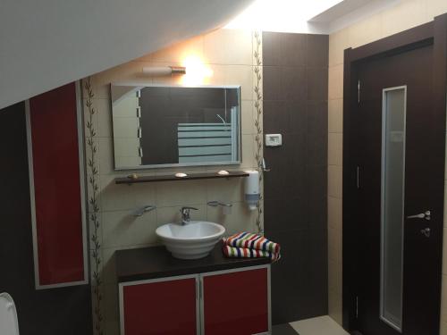 a bathroom with a sink and a mirror at Apartament Miruna in Sinaia