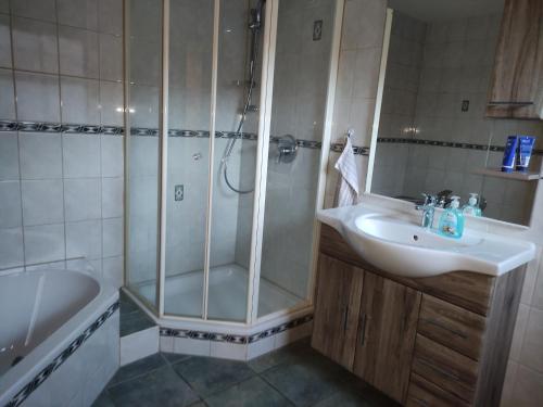 a bathroom with a shower and a sink at Ferienwohnung Mandy in Morsleben