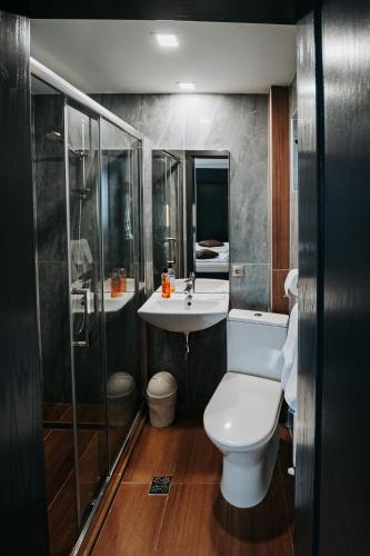 a bathroom with a toilet and a sink and a shower at Pension Belascu in Sibiu