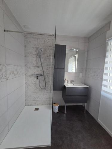 a bathroom with a shower and a sink at Kity House maison individuelle avec jardin in Neufchâteau