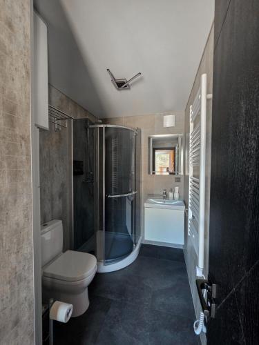 a bathroom with a shower and a toilet and a sink at Baldones dabas retrīts - Exclusive holiday house near Riga jacuzzi sauna extra cost in Pulkarne